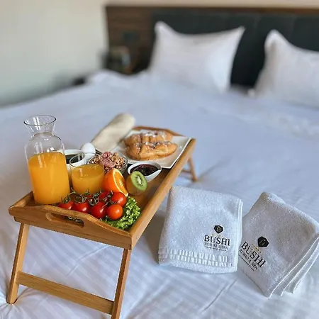 Hotel Bushi & Skopje