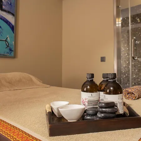 Hotel Bushi &